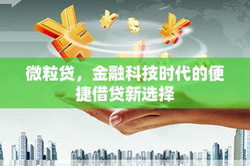 革吉微粒贷，金融科技时代的便捷借贷新选择
