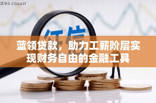 海北蓝领贷款，助力工薪阶层实现财务自由的金融工具
