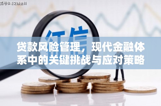 拉孜贷款风险管理，现代金融体系中的关键挑战与应对策略