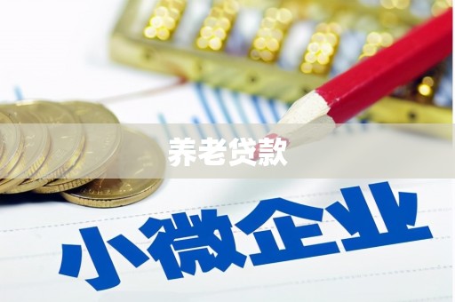 静海养老贷款