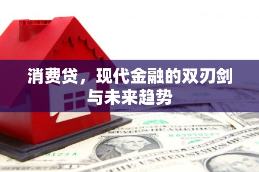沙依巴克消费贷，现代金融的双刃剑与未来趋势