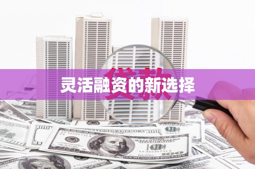 镇雄灵活融资的新选择