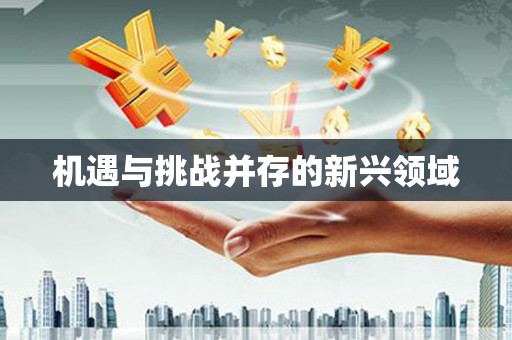 梁平机遇与挑战并存的新兴领域