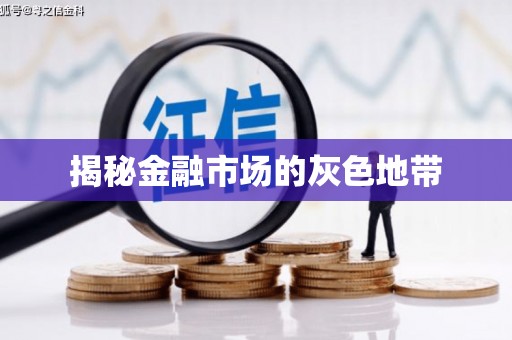 徐闻揭秘金融市场的灰色地带