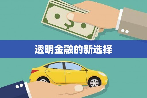 大武透明金融的新选择