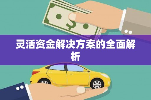 东明灵活资金解决方案的全面解析